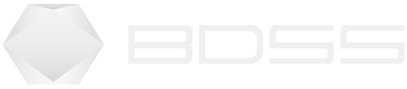 BDSS Logo Sicherheit Gebäudereinigung und Facility-Management