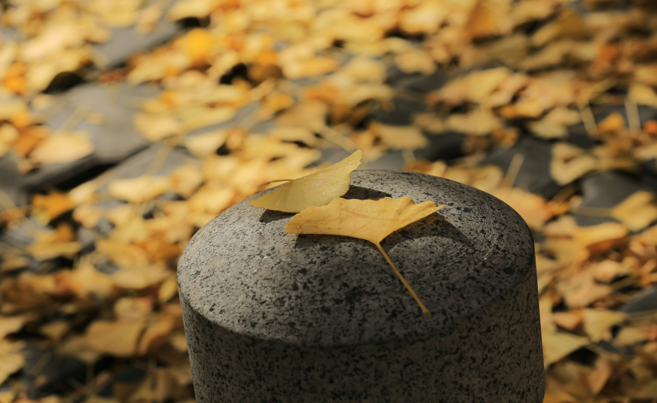 Gebäude auf den Herbst vorbereiten